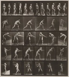 Tafel Nummer 521. A, gehend; B, Stufe hinaufsteigend; C, Diskus werfend; D, Schaufel benutzend; E, Pickel benutzend; F, Pickel benutzend, 1887